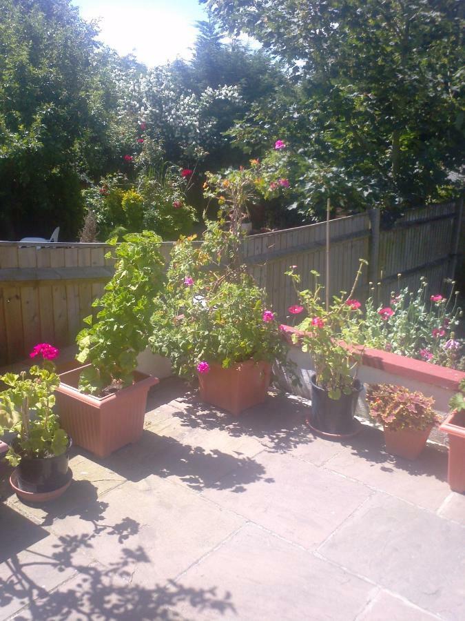 Homestay Comfy Well Located London